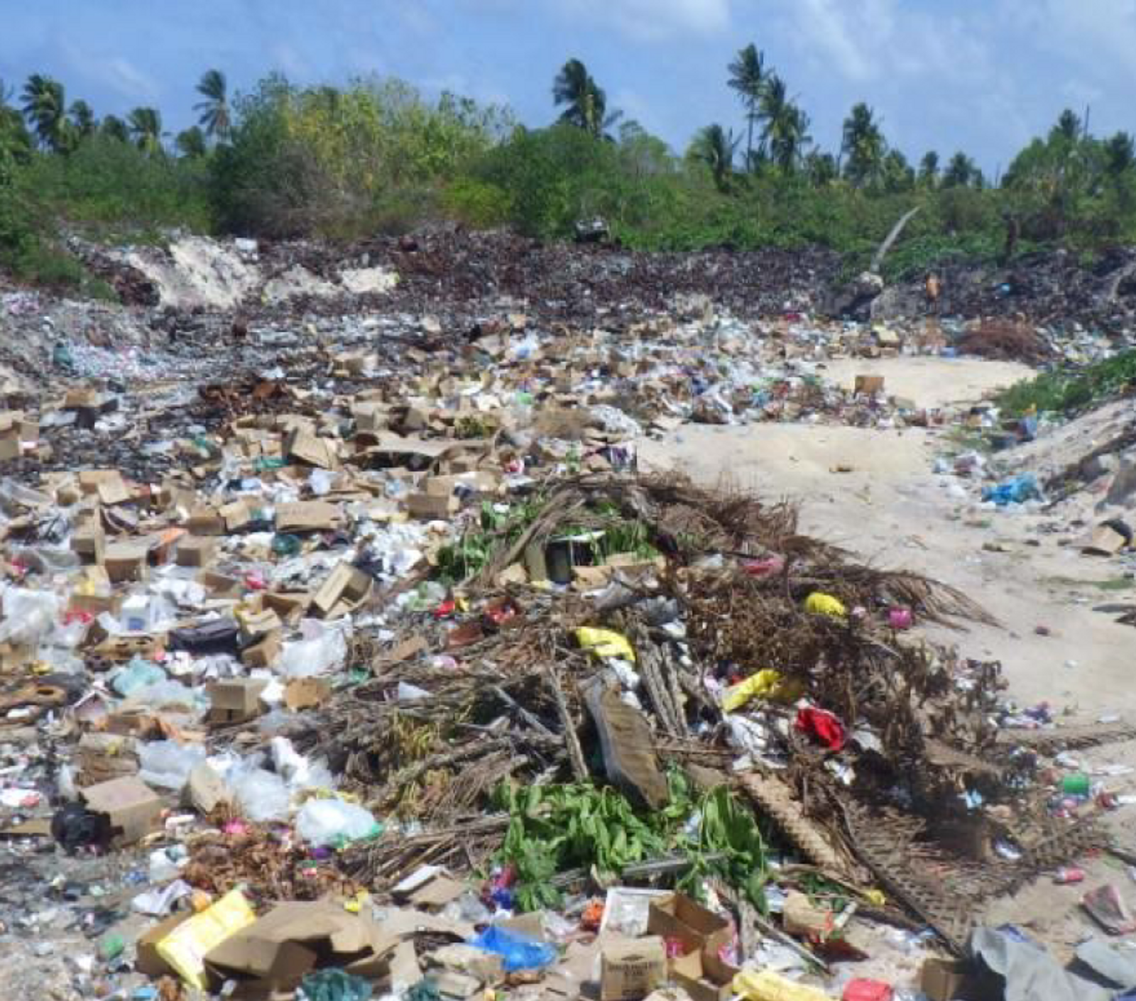 The Real Rubbish News - January 2025 - Kiribati Solid Waste Management Programme